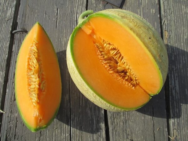 Melon bio (pièce)