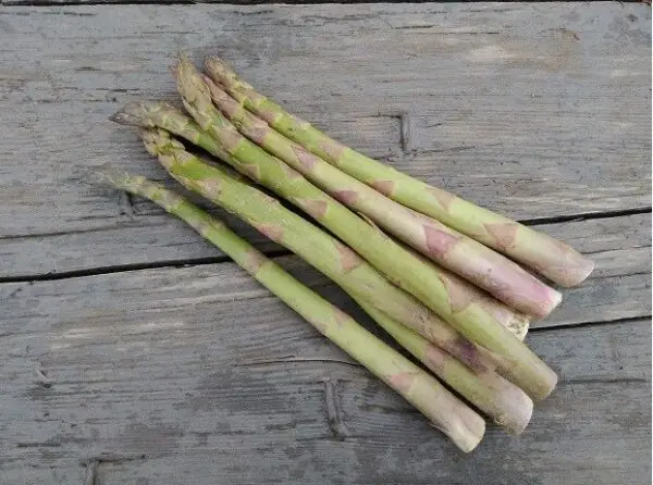 Asperges vertes (300g)