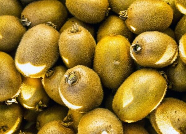 Kiwis gold bio (500g)